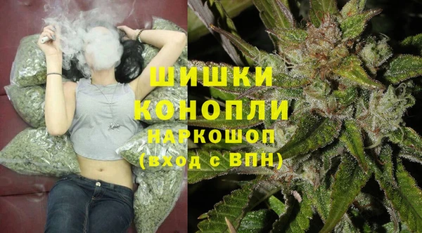 дживик Тихвин