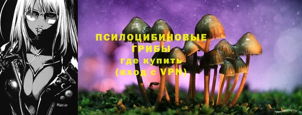 jwh Ельня